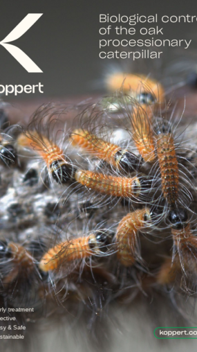 Oak processionary moth brochure - © Koppert B.V. Oak processionary moth brochure