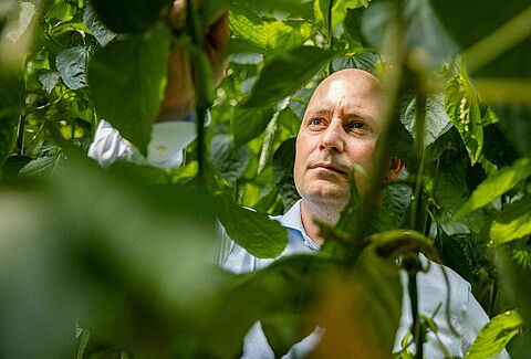 An impressive range of predatory mite solutions thanks to continuous research and innovations