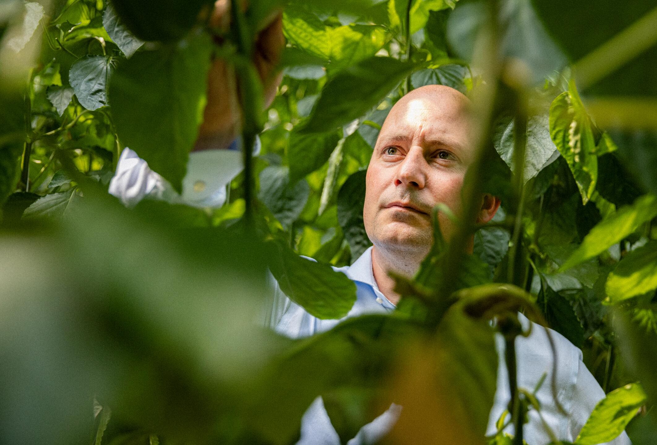 An impressive range of predatory mite solutions thanks to continuous research and innovations