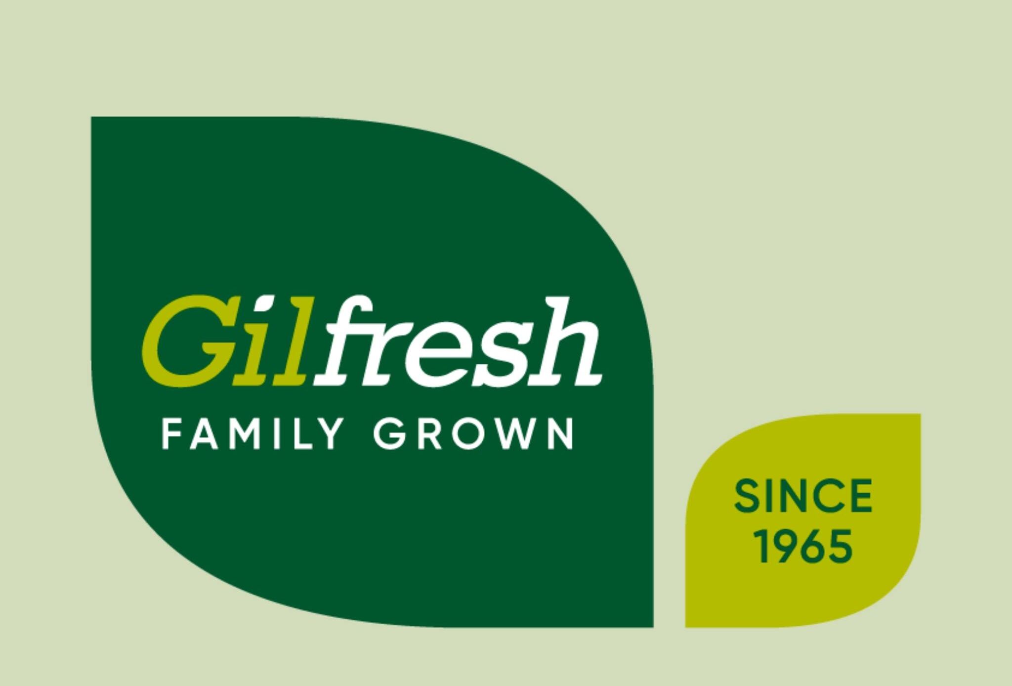 Gilfresh Pumpkin Pollination Providing Excellent Yields