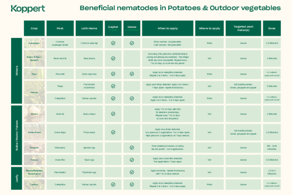 Target pests of beneficial nematodes in potato & outdoor vegetables
