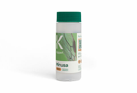 Minusa