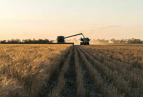 Cerall, a powerful seed treatment solution against seed-borne diseases in cereal crops