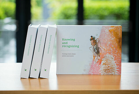 ‘Knowing & recognising’ now available in 4 languages