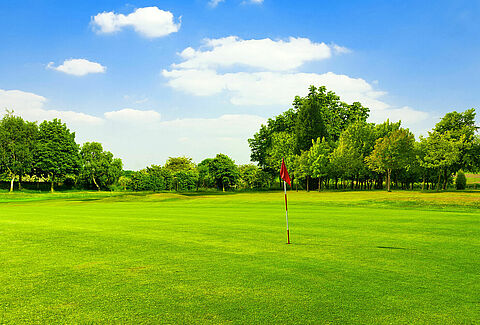 Turf and grass