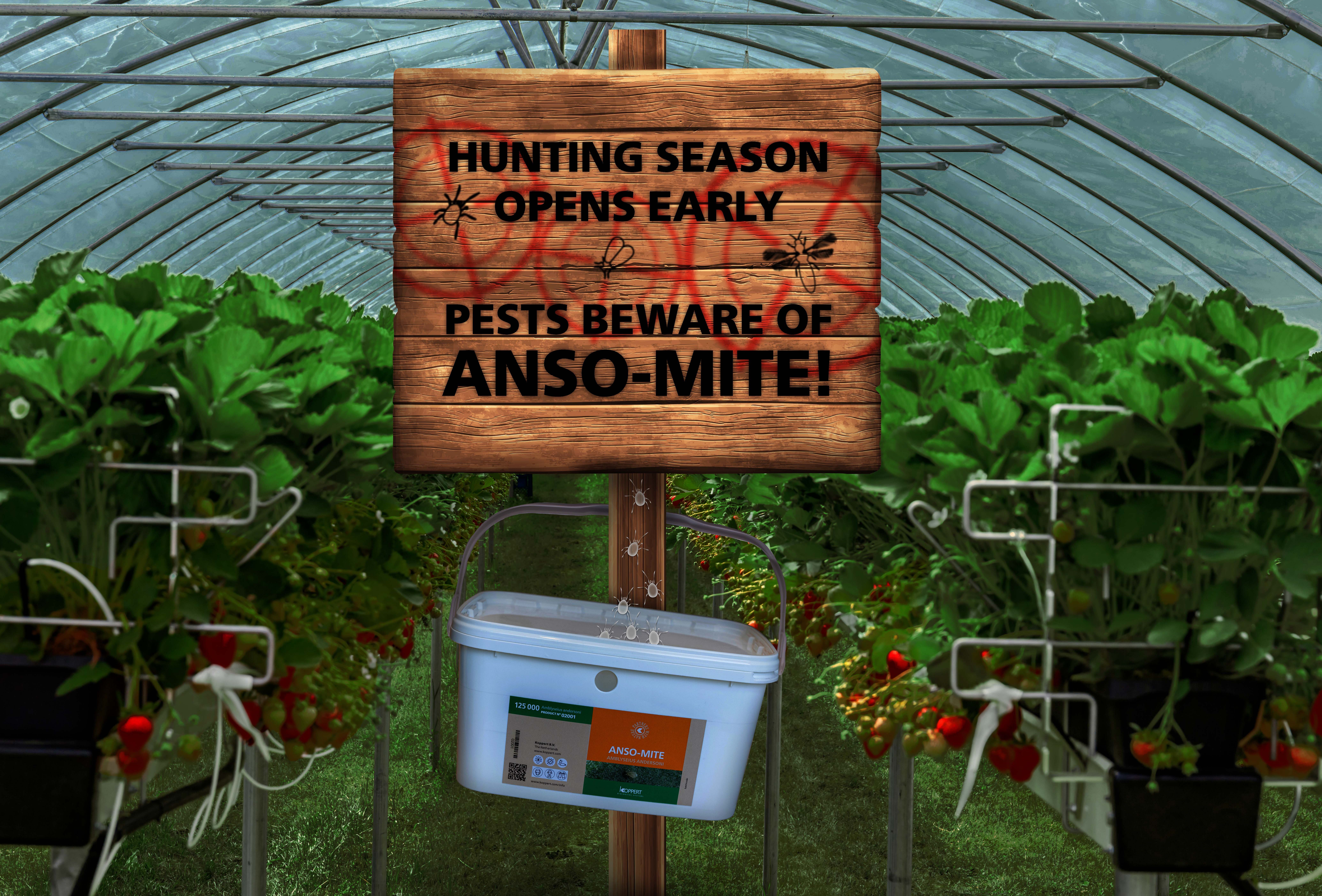 Hunting season starts early with Anso-Mite