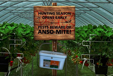 Hunting season starts early with Anso-Mite