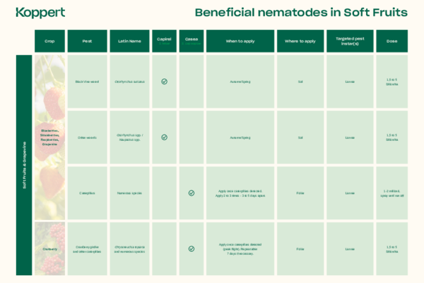 Target pests of beneficial nematodes in soft fruits