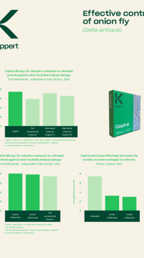Trial results onion fly and bean seed fly