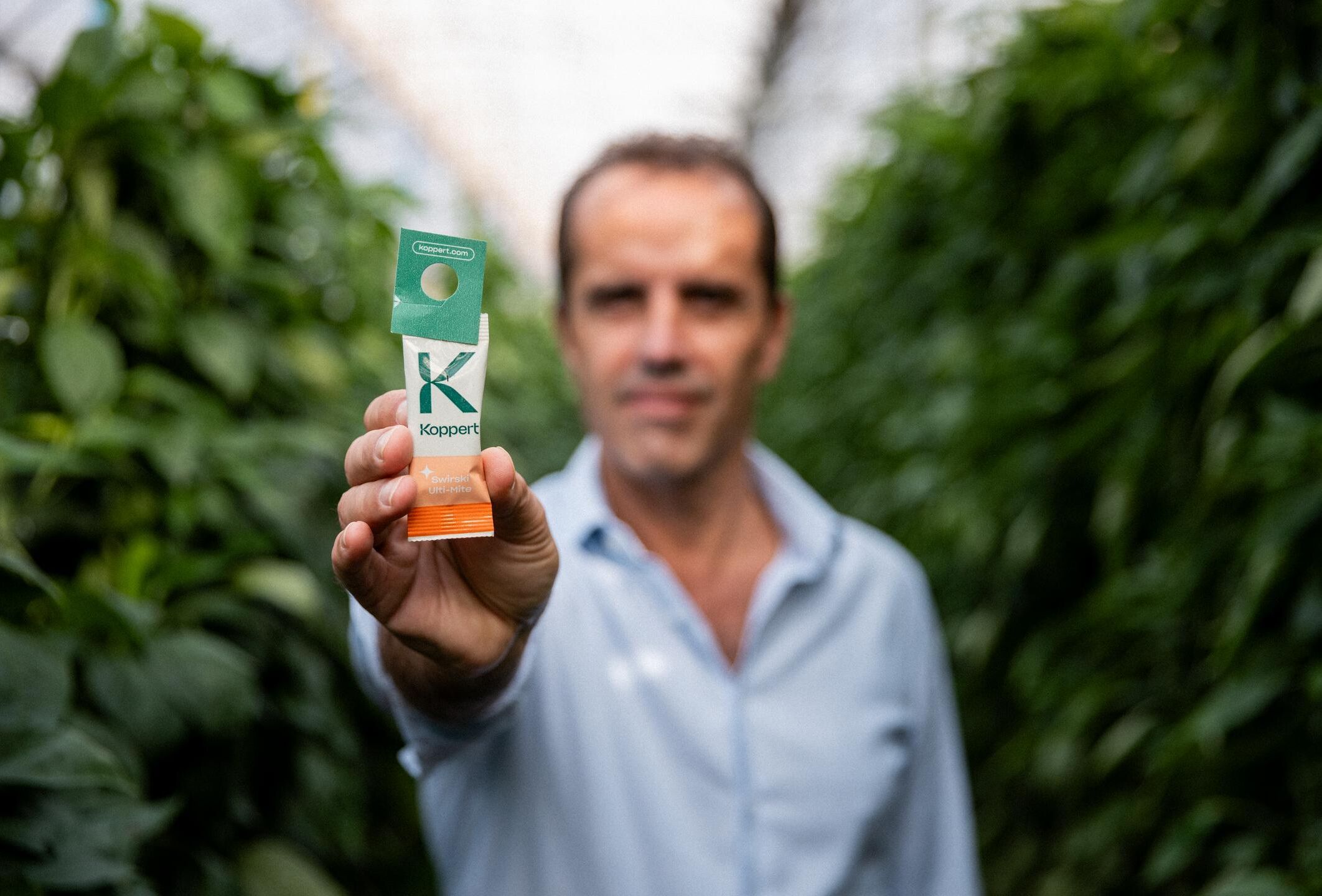 A turning point in Almeria: how predatory mites helped transform agriculture