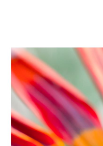 Manual Growing lights