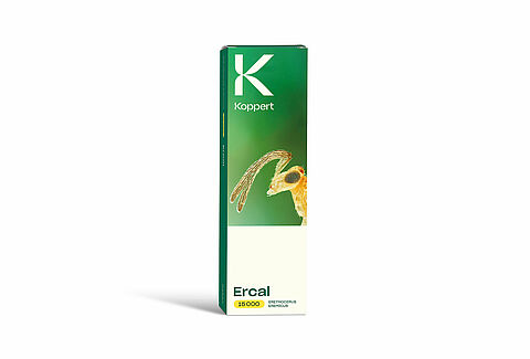 Ercal