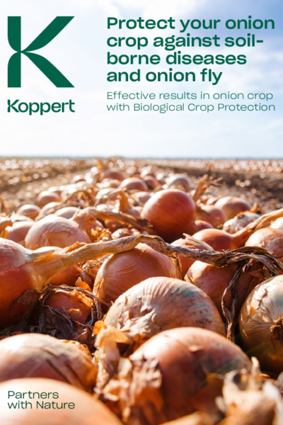 Trial results onion fly, bean seed fly and fusarium wilt