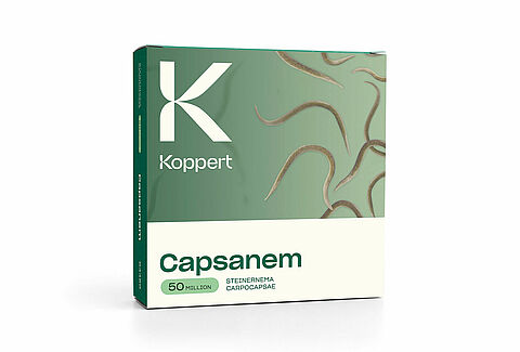 Capsanem