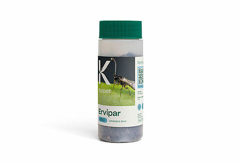 Ervipar
