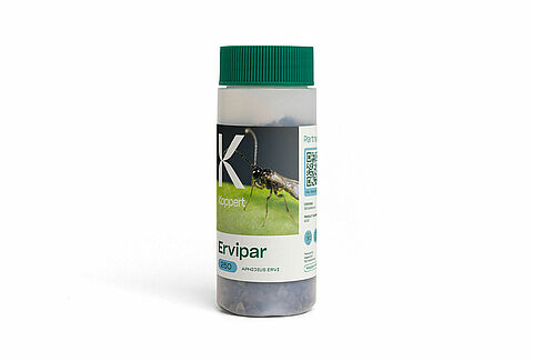 Ervipar