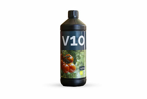 V10