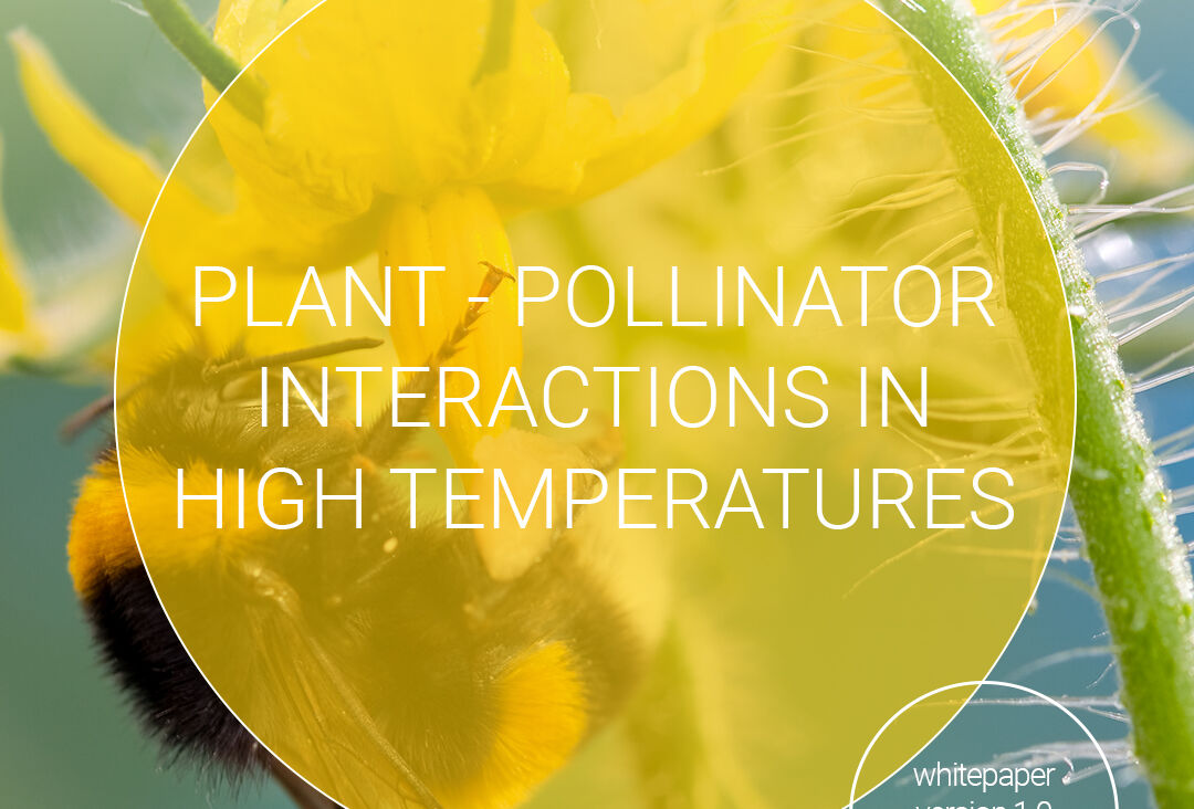 Crucial information on pollination at high temperatures