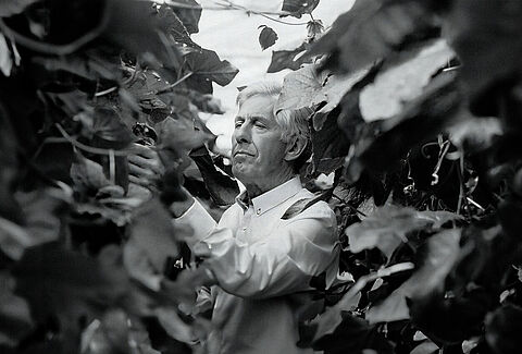 In Memoriam Peter Koppert