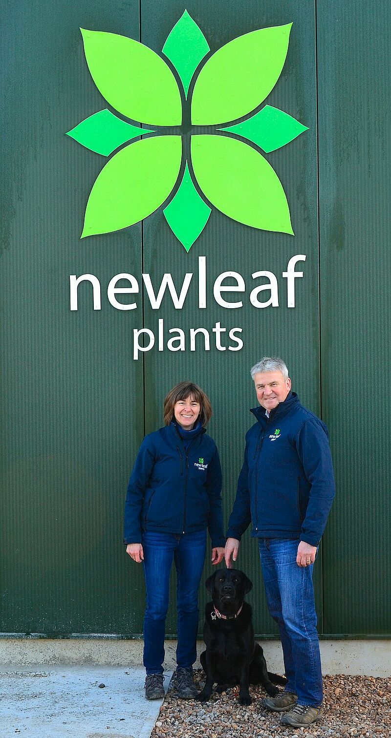 New_Leaf_Plants_David_and_Nicole_Higginson