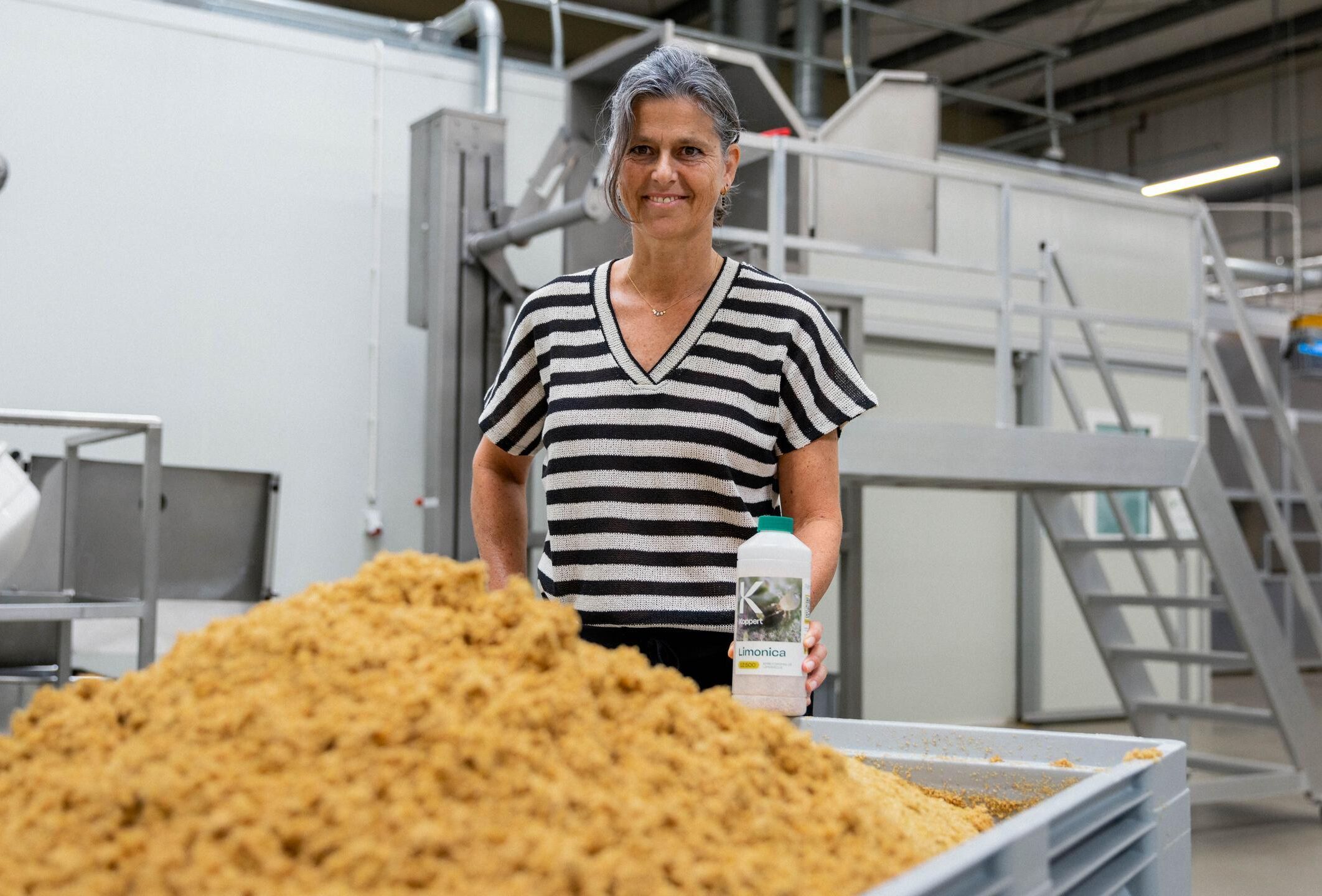 Limonica: breakthrough in large-scale production of a complex predatory mite