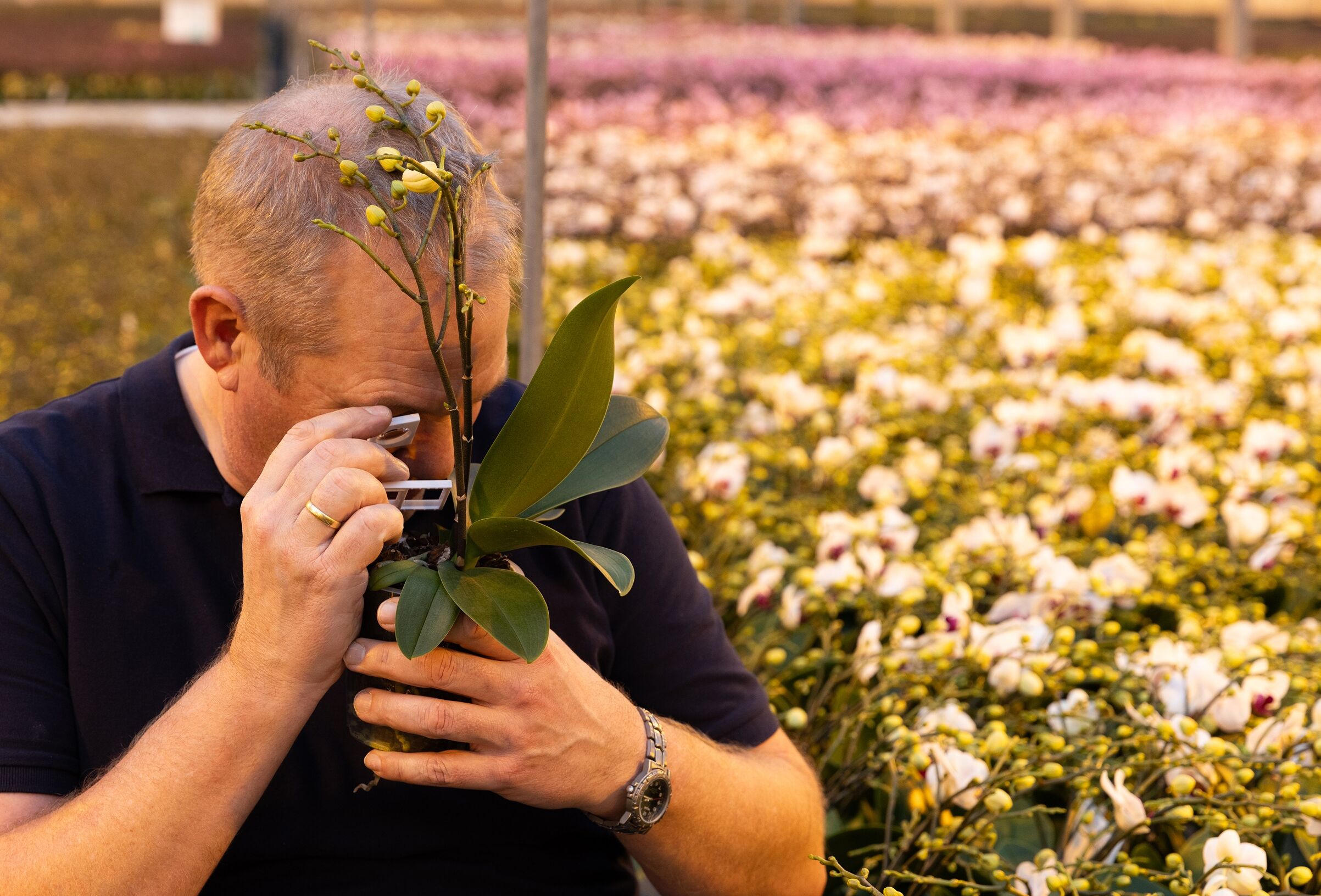 Getting a head start - The importance of scouting in winter