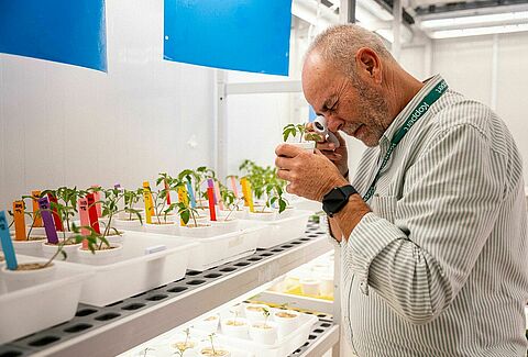 Transforming crop protection: the rise of predatory mites