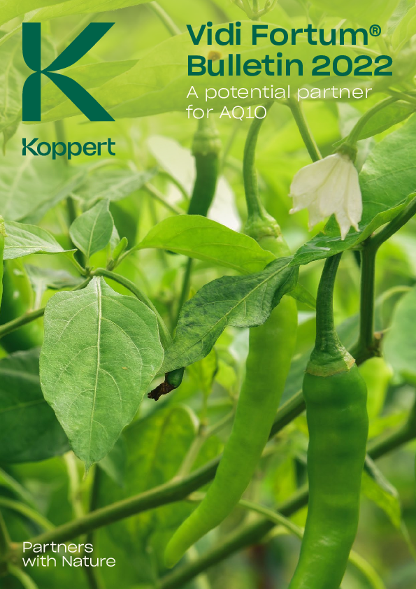 Vidi Fortum application with AQ10