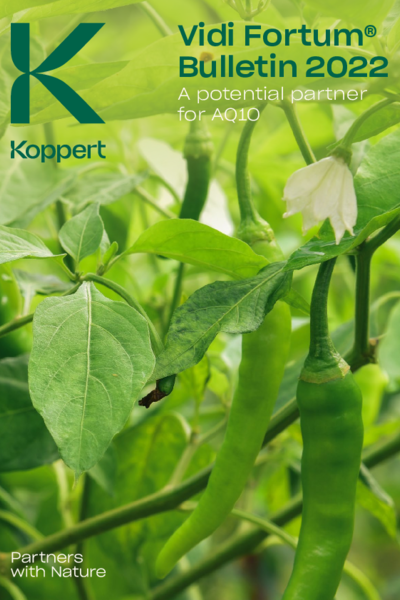 Vidi Fortum application with AQ10