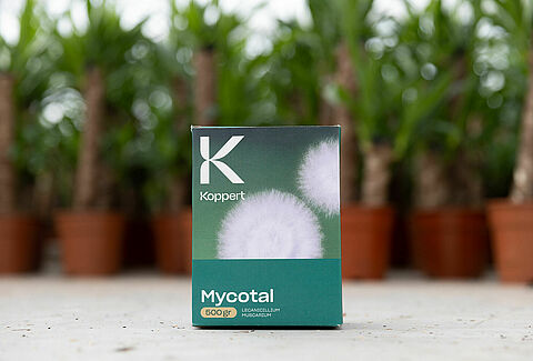 New Generation Mycotal