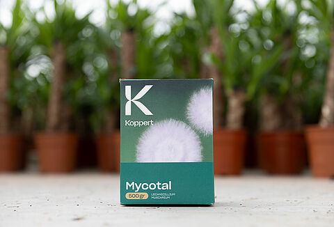 New Generation Mycotal