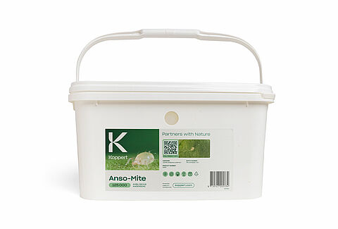 Anso-Mite