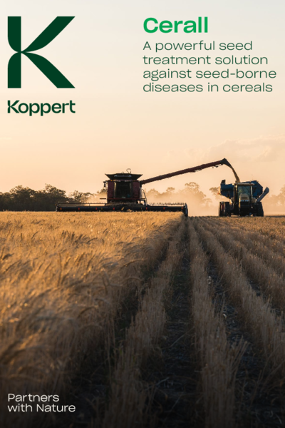Cerall Brochure
