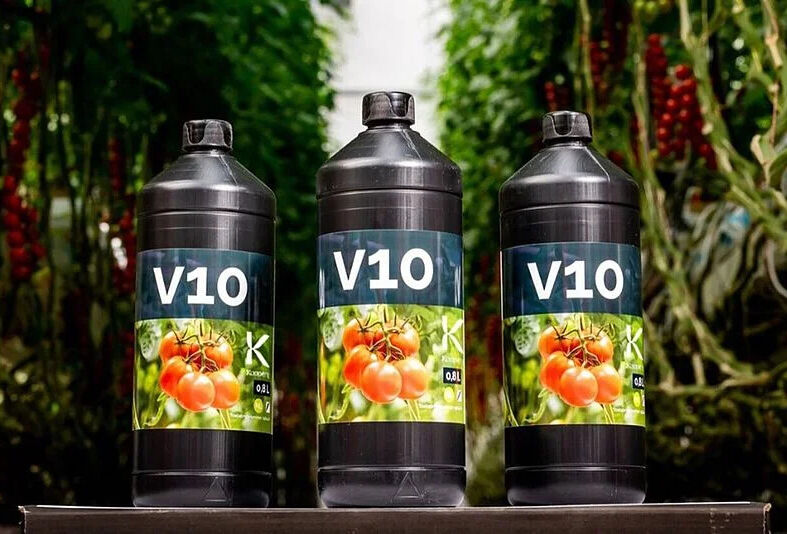 Collaboration With Valto Against Pepino Mosaic Virus