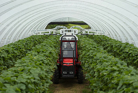 Natutec Drive takes centre stage