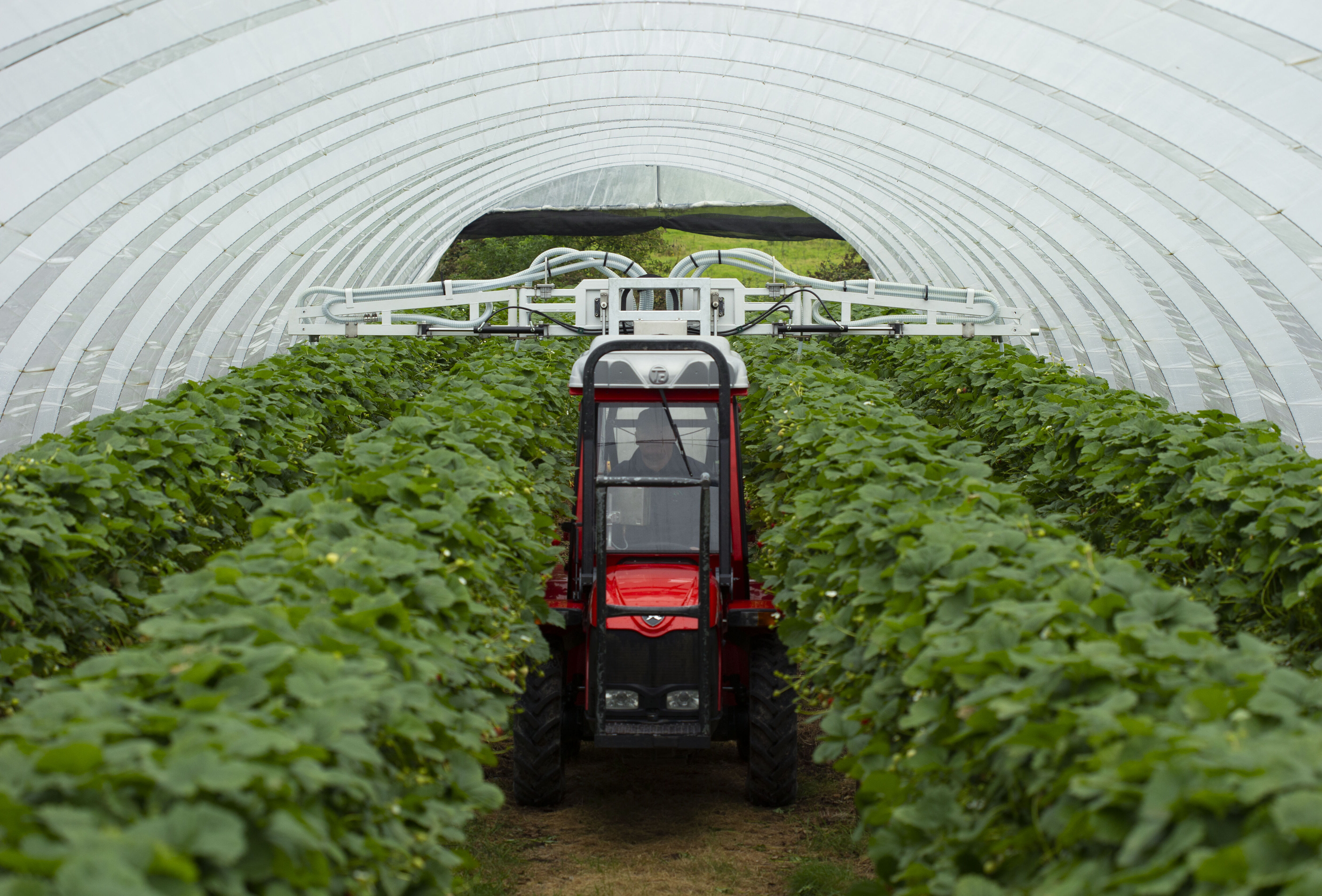 Natutec Drive takes centre stage