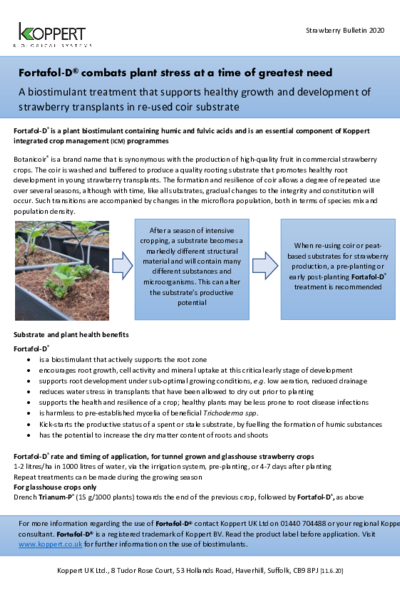 Using Fortafol with Strawberry in Coir