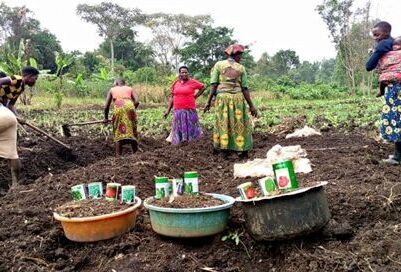 A Year Of Impact For The Koppert Foundation