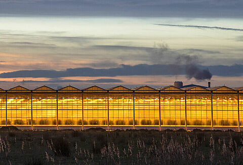Navigating Energy Efficiency, Greenhouse Lighting & Pollination Success