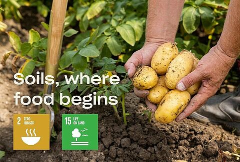 World Soil Day 2022