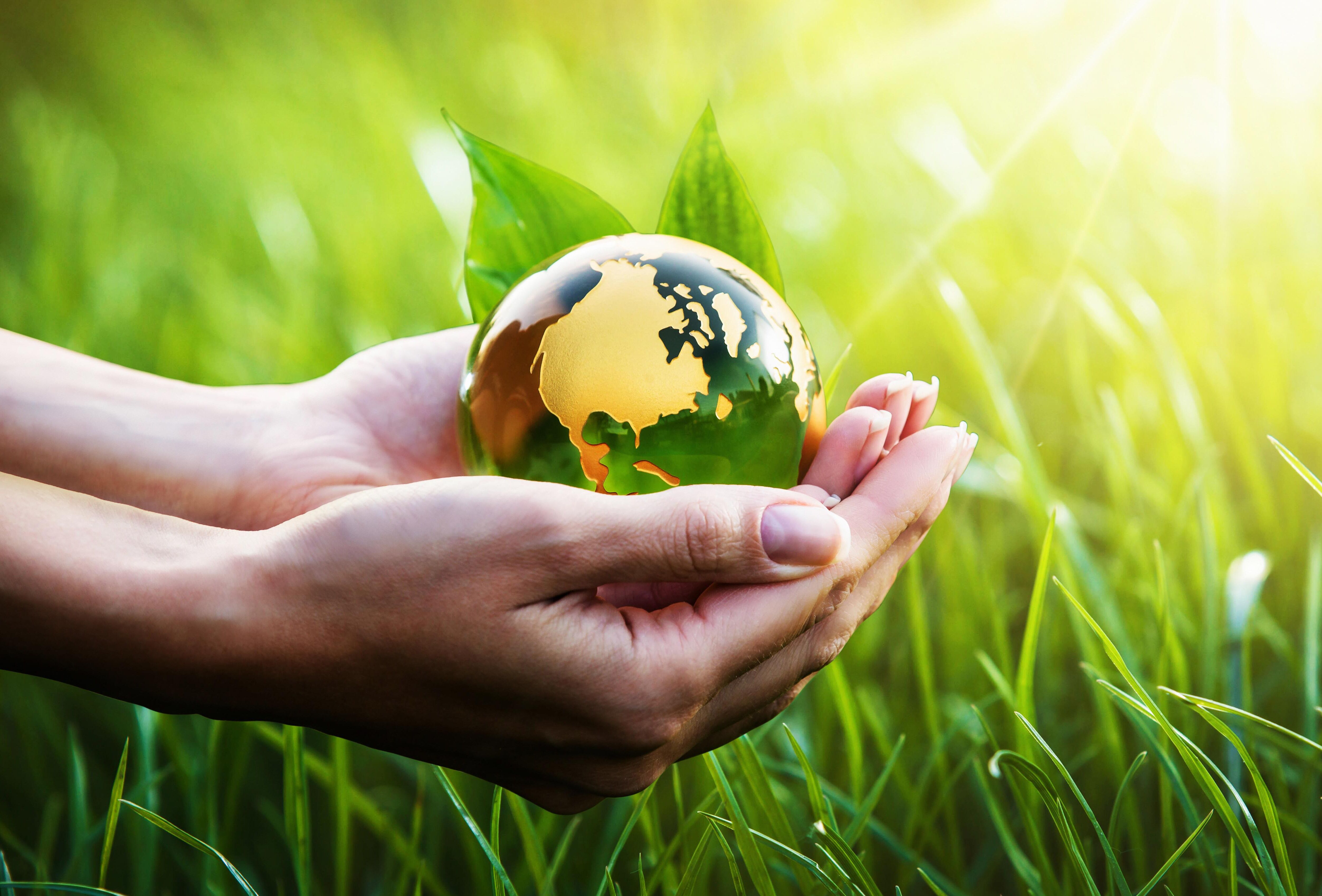 At Koppert, every day is Earth Day