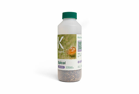 Spical | Spider Mite Control | Predatory Mites (Neoseiulus