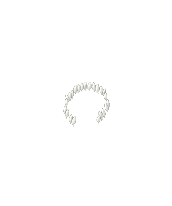 Greenhouse whitefly Trialeurodes vaporariorum egg circle